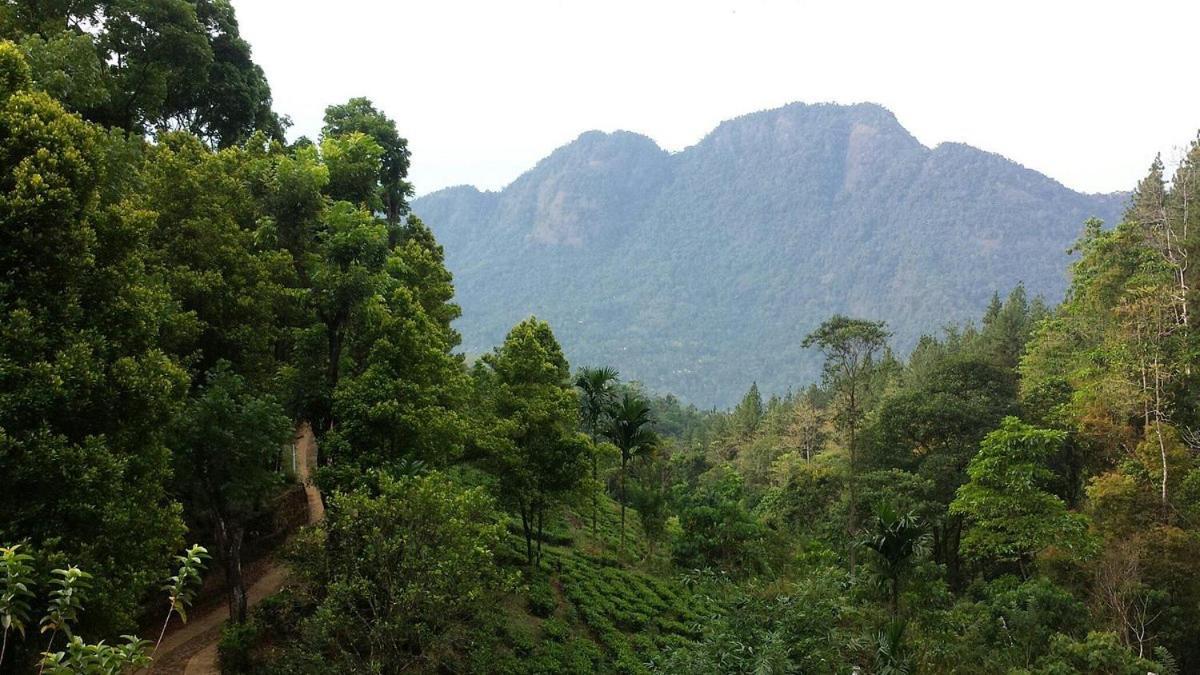 Forest Edge Hotel Ginigathena Ngoại thất bức ảnh