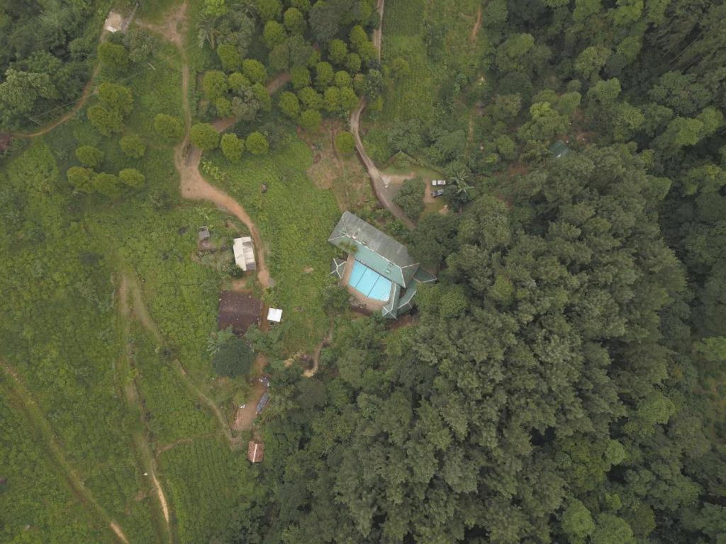 Forest Edge Hotel Ginigathena Ngoại thất bức ảnh