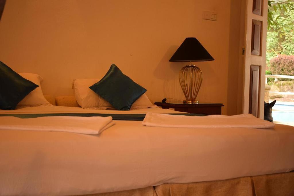 Forest Edge Hotel Ginigathena Ngoại thất bức ảnh