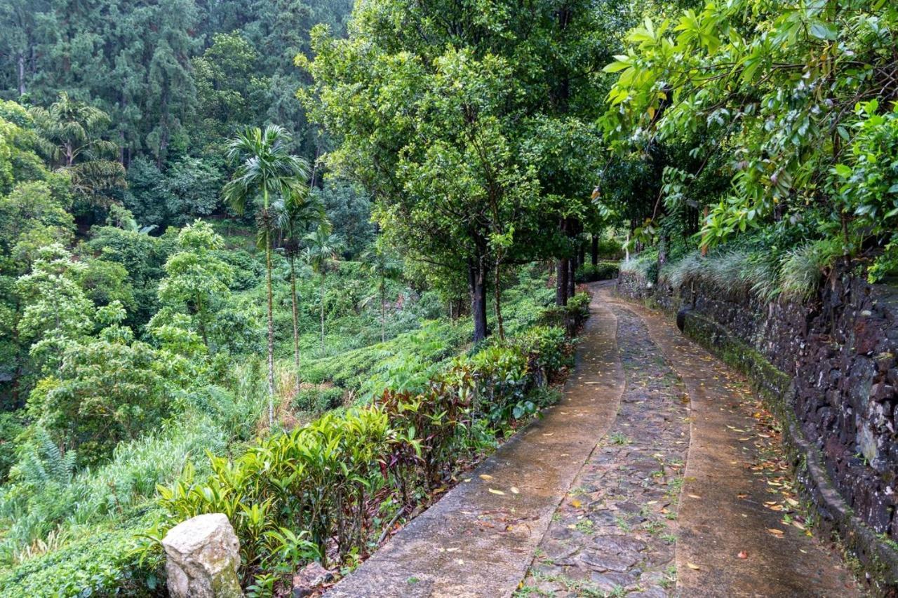 Forest Edge Hotel Ginigathena Ngoại thất bức ảnh